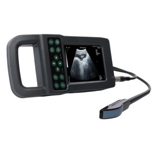 Ecógrafo Portátil Kaixin KX5600L